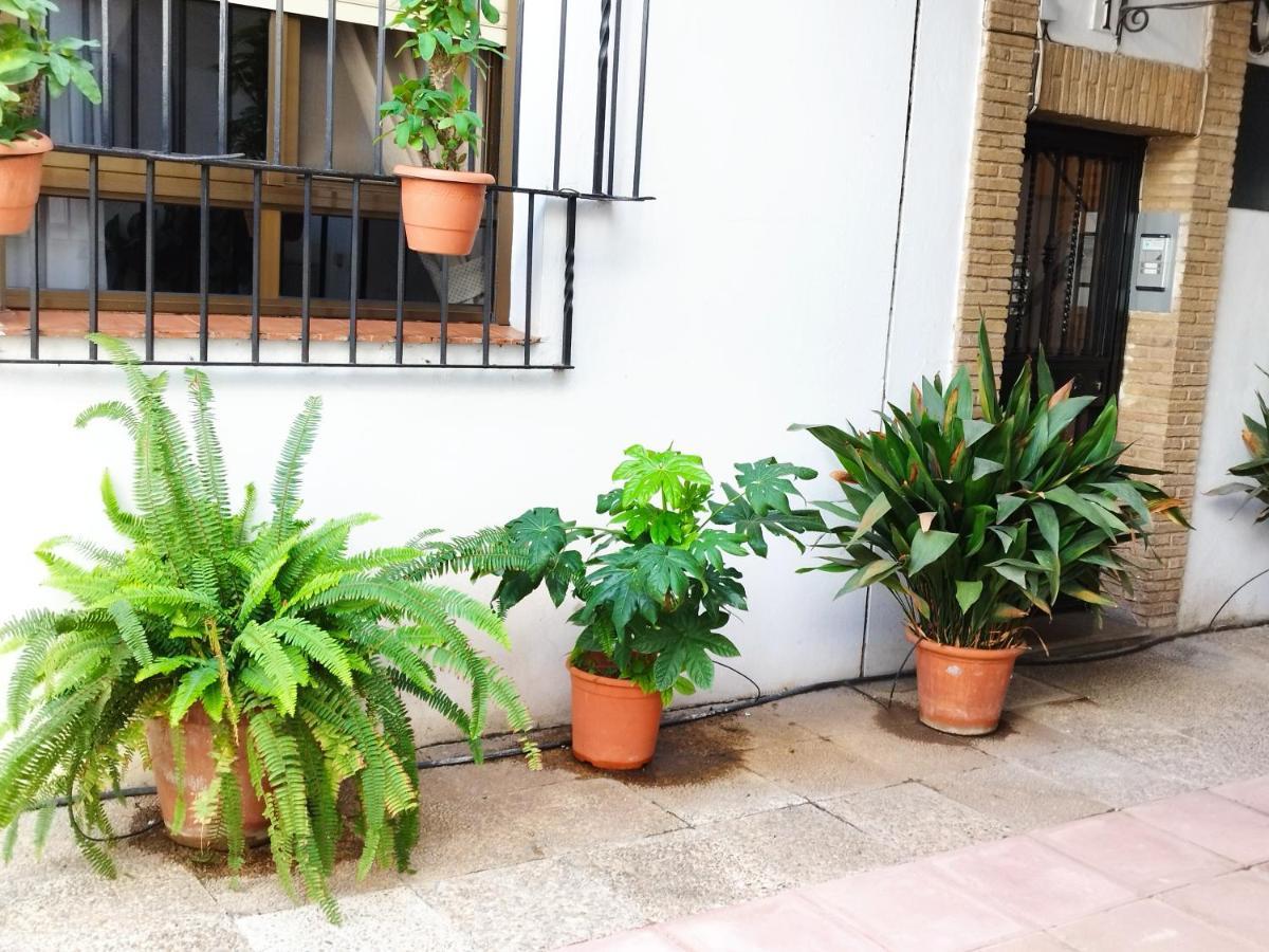 Ferienwohnung El Balcon De San Pablo Córdoba Exterior foto