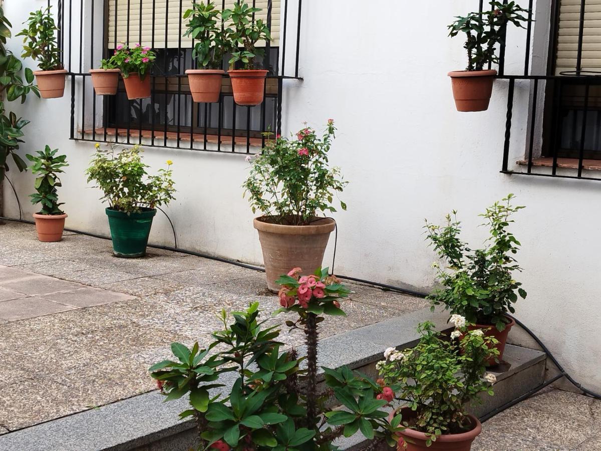 Ferienwohnung El Balcon De San Pablo Córdoba Exterior foto